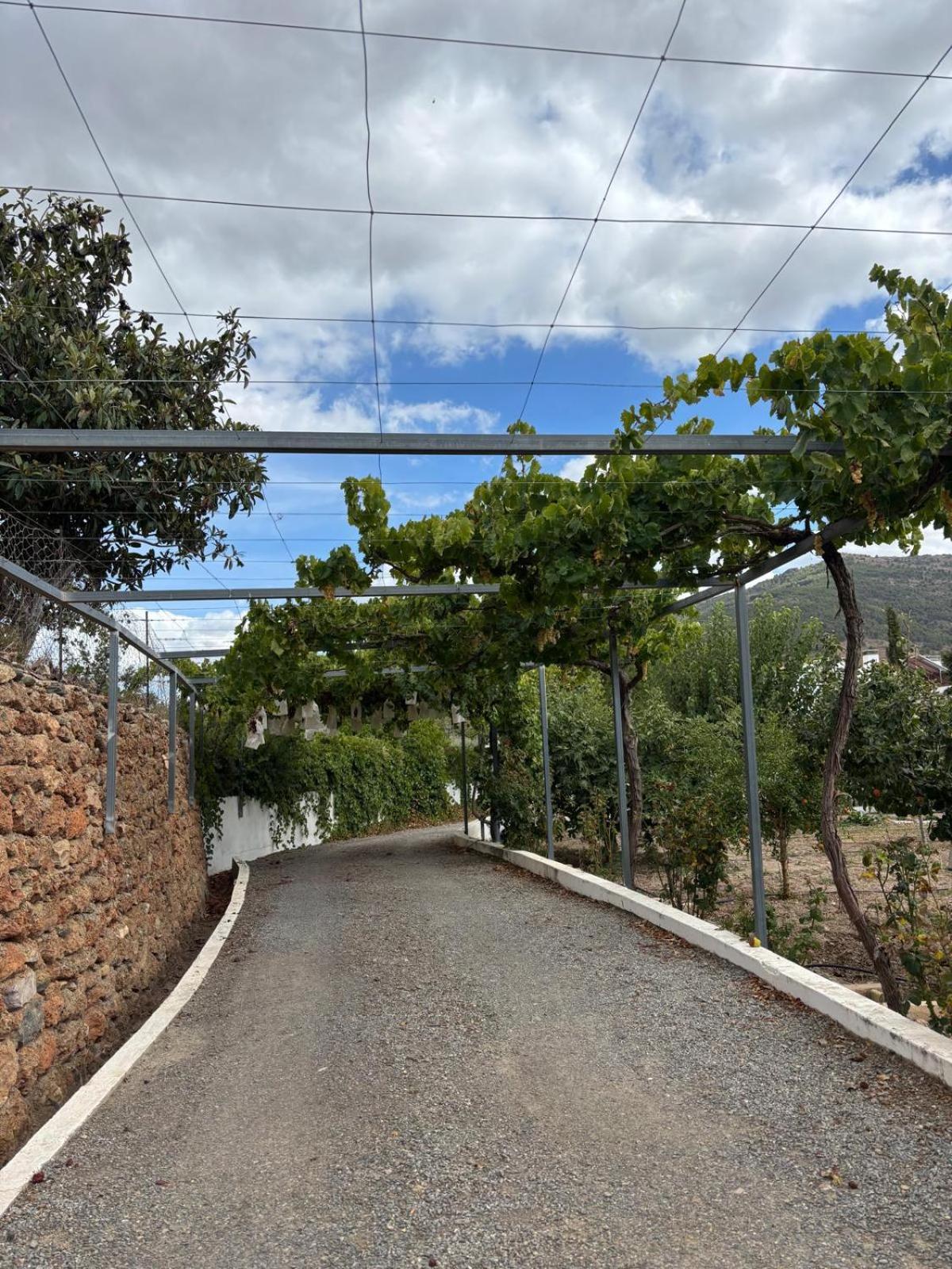 El Domingo En El Valle Фондон Экстерьер фото